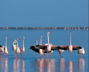 靜海天氣預(yù)報(bào)7天