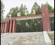 新林天氣預(yù)報(bào)7天