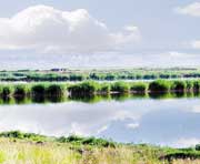 肇州天氣預(yù)報15天