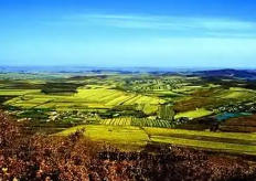 嶺東天氣預(yù)報40天