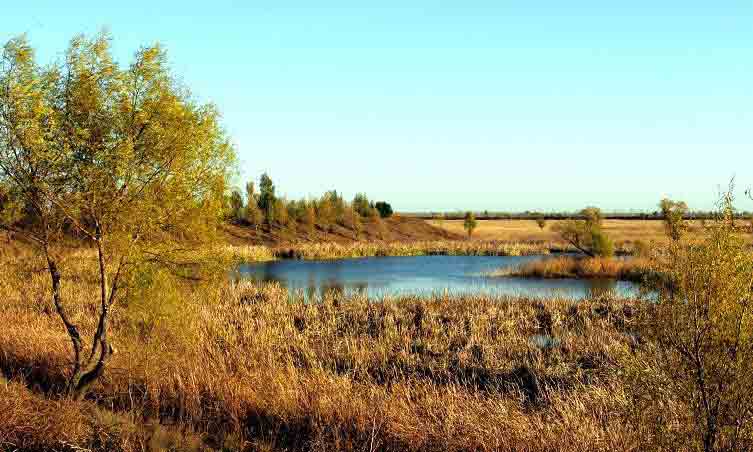 臺(tái)安天氣預(yù)報(bào)7天