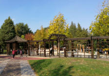 新?lián)崽鞖忸A(yù)報7天