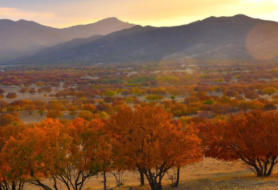 扎魯特旗今天天氣