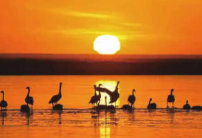 阿巴嘎旗天氣預(yù)報(bào)15天