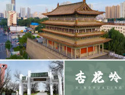 杏花嶺今天天氣