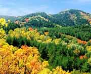 蒲縣天氣預報30天