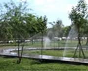 若羌天氣預(yù)報30天