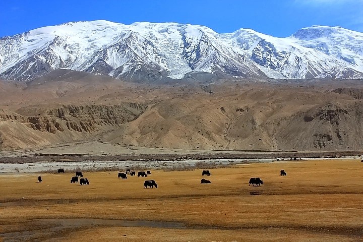 塔什庫爾干天氣預(yù)報15天