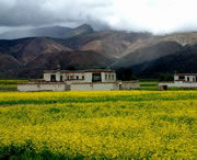 拉孜天氣預(yù)報(bào)15天