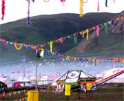 曲麻萊今天天氣