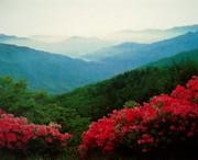 正寧天氣預(yù)報(bào)7天