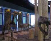 鄖縣天氣預(yù)報(bào)15天