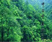 慶元天氣預(yù)報(bào)7天