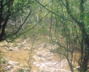 開(kāi)化今天天氣