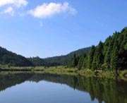 鳳陽(yáng)今天天氣