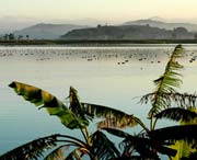 柘榮天氣預(yù)報(bào)30天