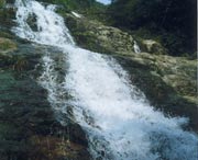 長(zhǎng)泰今天天氣