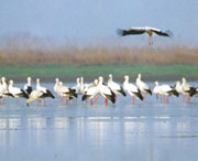 新建天氣預(yù)報(bào)30天