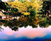 花溪天氣預(yù)報(bào)15天