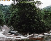 習(xí)水今天天氣