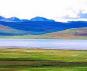 務(wù)川今天天氣