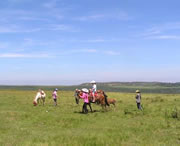 龍里天氣預(yù)報(bào)40天