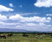 威寧天氣預(yù)報(bào)7天