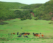 昭覺(jué)天氣預(yù)報(bào)7天