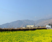 越西天氣預(yù)報15天