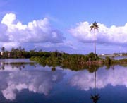 徐聞天氣預(yù)報(bào)60天