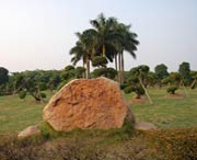 新會(huì)明天天氣